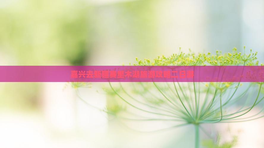 嘉兴去新疆赛里木湖二日游
