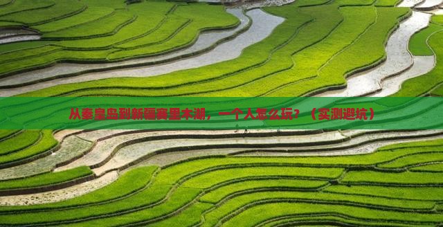秦皇岛到新疆赛里木湖个人游