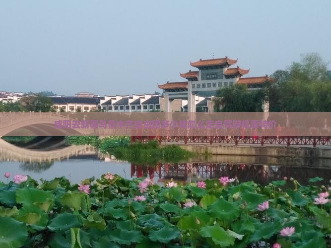 咸阳去新疆乌鲁木齐自由团