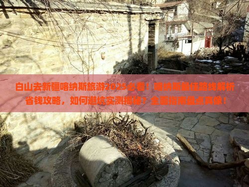 白山去新疆喀纳斯旅游