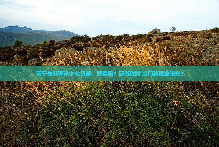 南宁去新疆禾木七日游