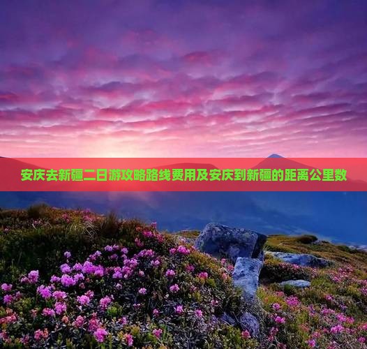 安庆去新疆二日游