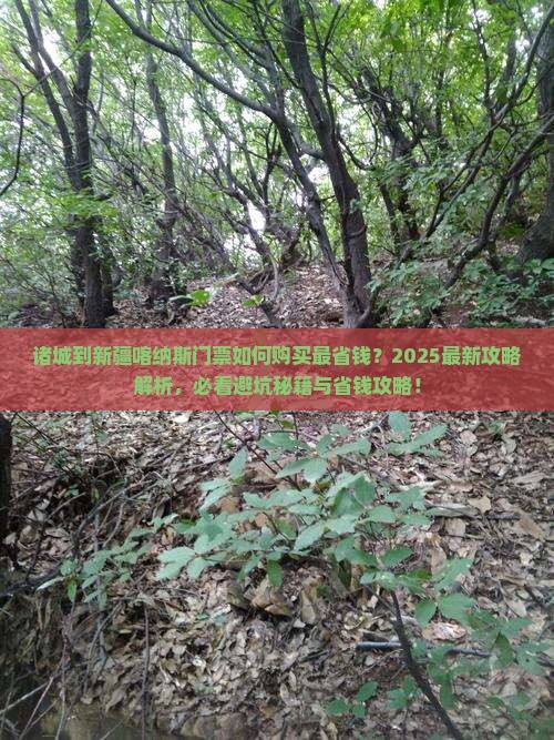 诸城到新疆喀纳斯门票 诸城到新疆喀纳斯门票