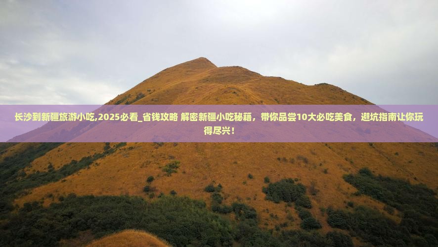 长沙到新疆旅游小吃