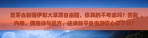 思茅去新疆伊犁大草原自由团