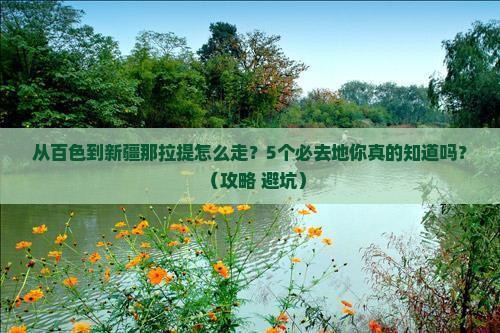 百色到新疆那拉提必去地