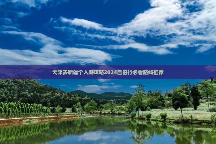 天津去新疆个人游