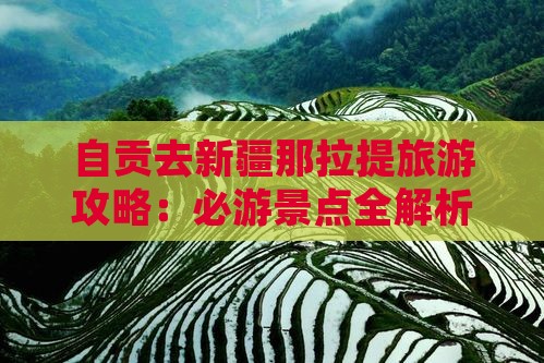 自贡去新疆那拉提一日