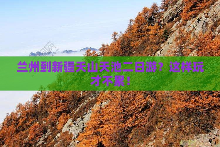兰州到新疆天山天池二日游