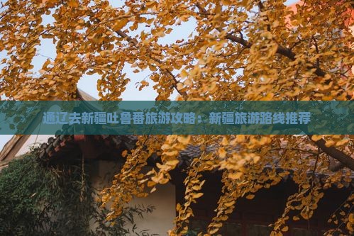 通辽去新疆吐鲁番个人游