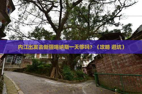 内江去新疆喀纳斯一日