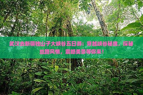 武汉去新疆独山子大峡谷五日游 武汉去新疆独山子大峡谷五日游