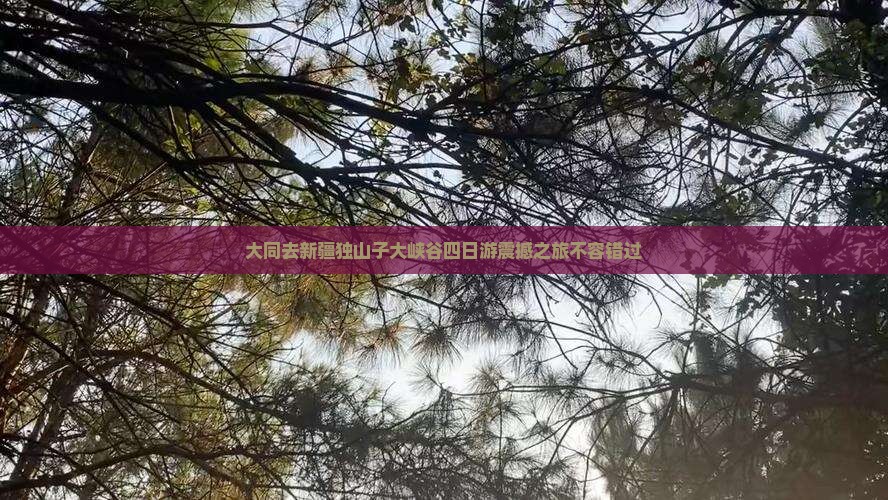 大同去新疆独山子大峡谷四日游