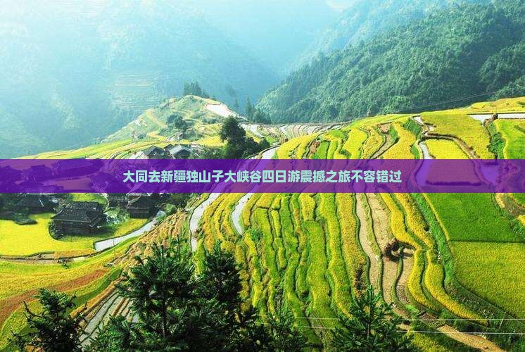 大同去新疆独山子大峡谷四日游
