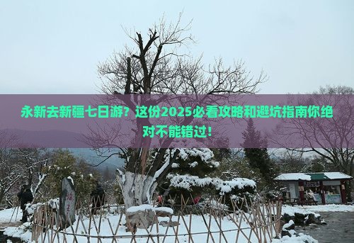 永新去新疆七日游