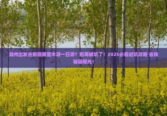 滁州去新疆赛里木湖一日