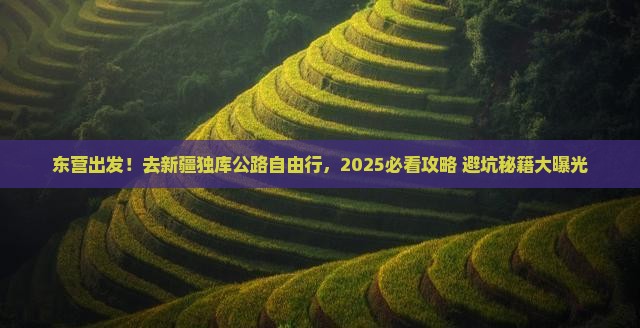 东营去新疆独库公路自由行