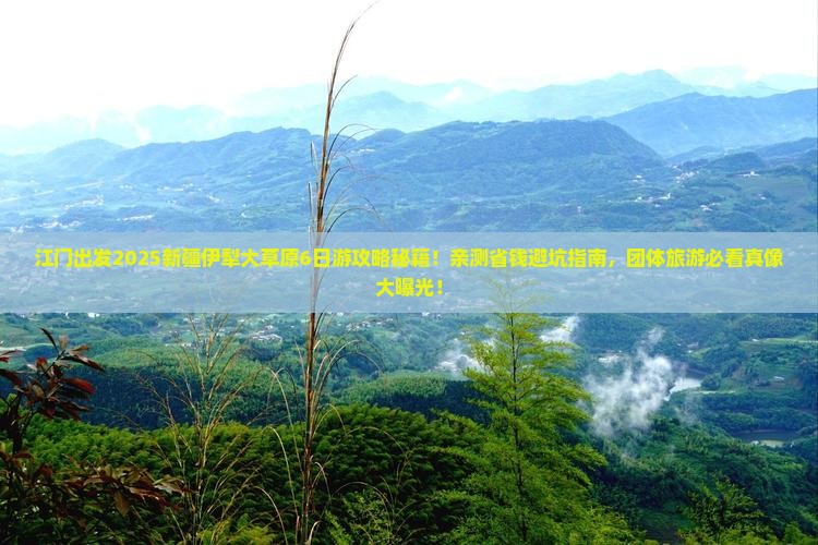 江门到新疆伊犁大草原团体旅游