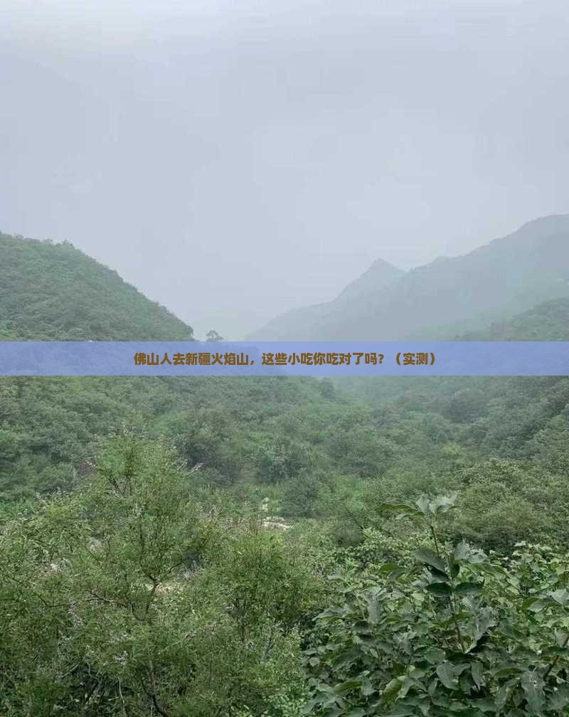 佛山去新疆火焰山旅游小吃