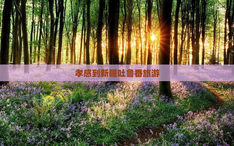 孝感到新疆吐鲁番旅游