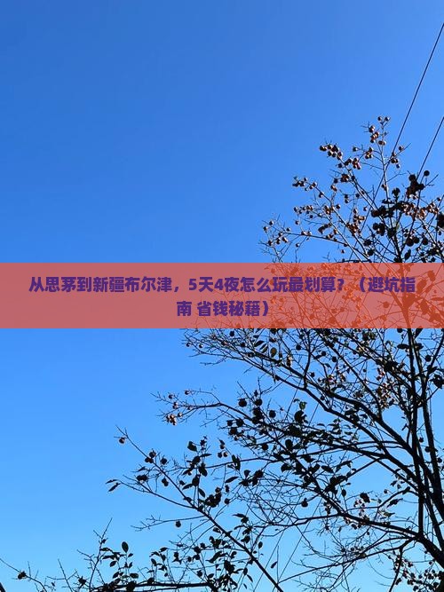 思茅去新疆布尔津门票