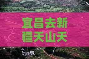 宜昌去新疆天山天池四日游