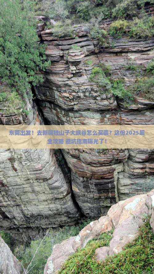 东莞到新疆独山子大峡谷门票