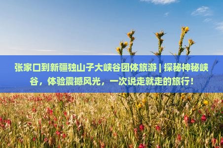 张家口到新疆独山子大峡谷团体旅游