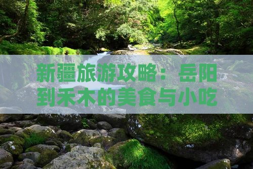 岳阳到新疆禾木旅游小吃