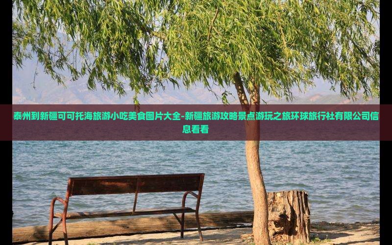 泰州去新疆可可托海旅游小吃