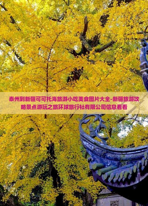 泰州去新疆可可托海旅游小吃