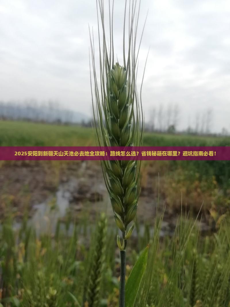 安阳到新疆天山天池必去地