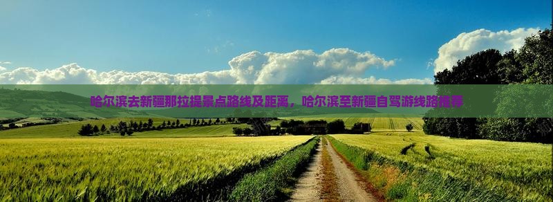 哈尔滨去新疆那拉提景点