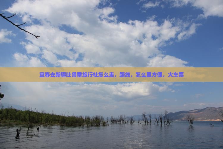 宜春去新疆吐鲁番旅行社