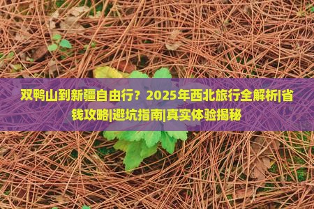 双鸭山到新疆自由行