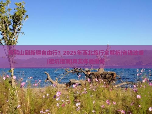 双鸭山到新疆自由行