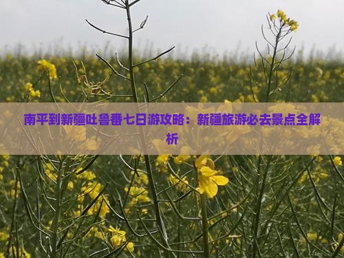 南平到新疆吐鲁番七日游