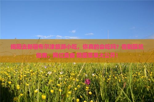 揭阳去新疆布尔津旅游小吃