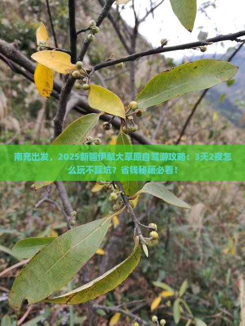 南充到新疆伊犁大草原旅游
