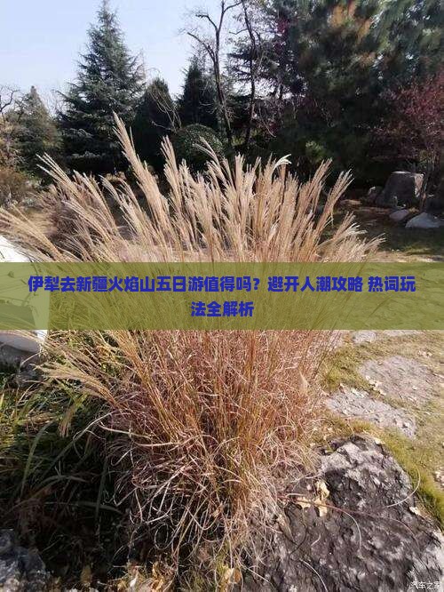 伊犁去新疆火焰山五日游