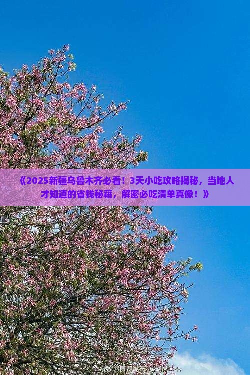 大理去新疆乌鲁木齐旅游小吃