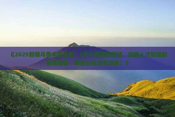 大理去新疆乌鲁木齐旅游小吃