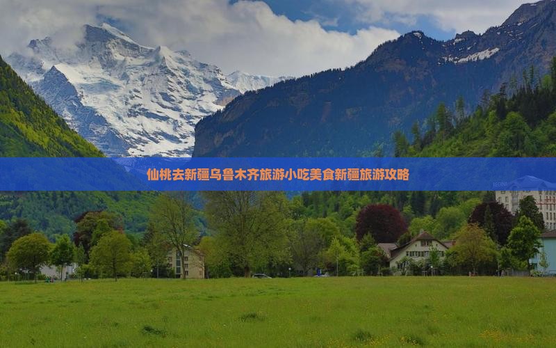 仙桃去新疆乌鲁木齐旅游小吃