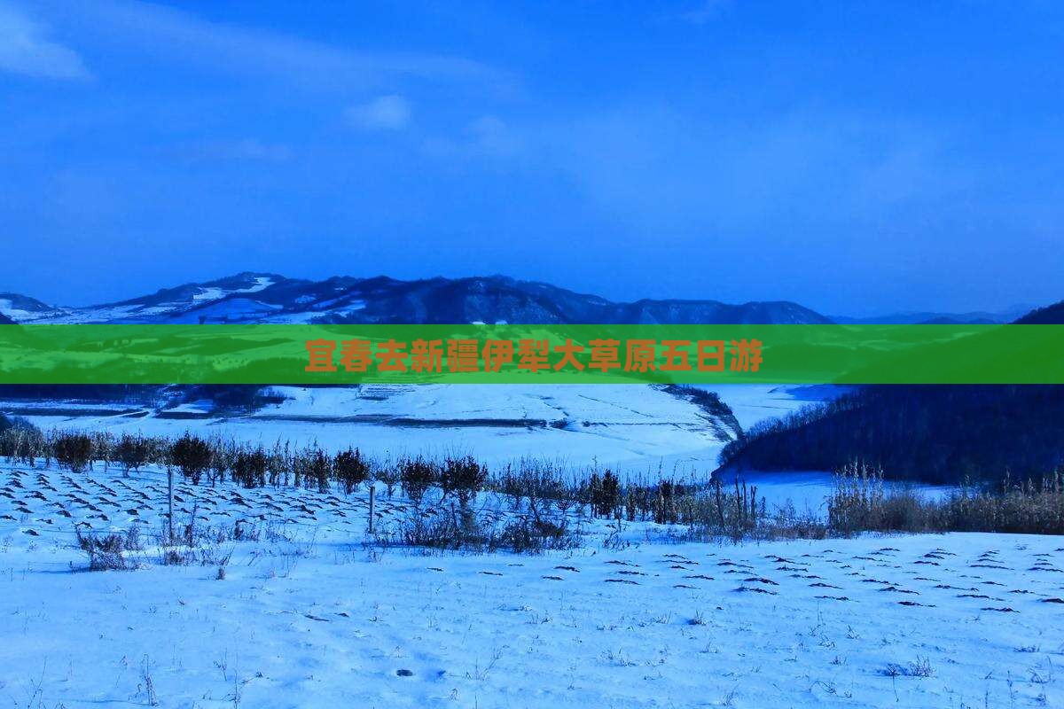 宜春去新疆伊犁大草原五日游