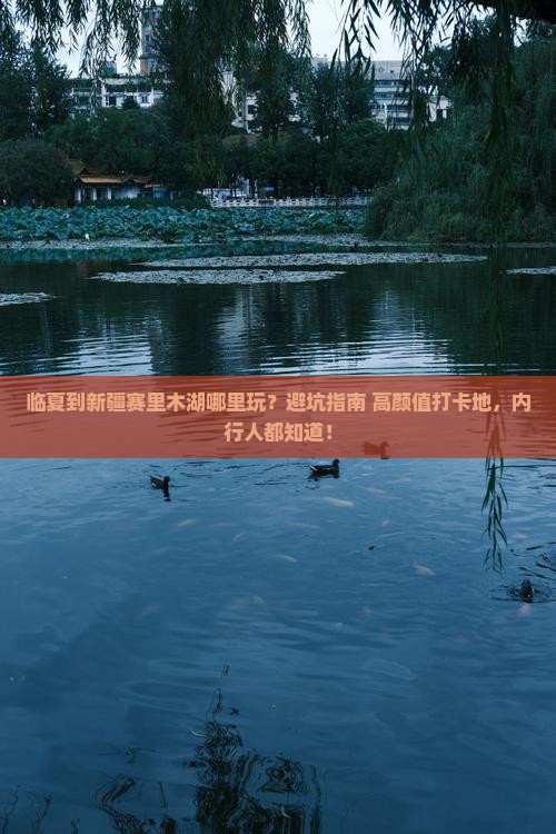 临夏到新疆赛里木湖哪里玩