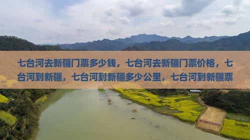 七台河去新疆门票