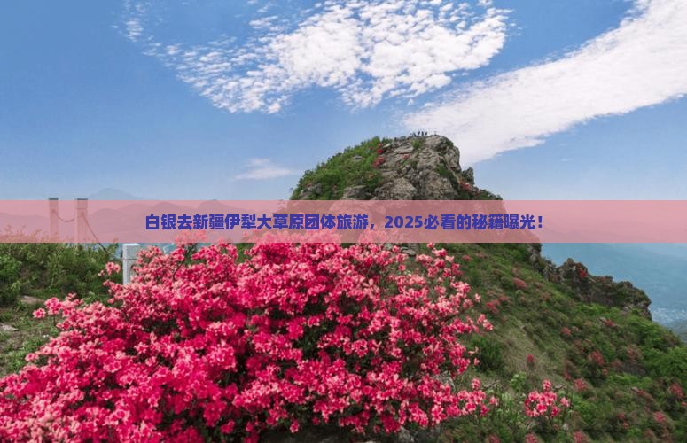 白银去新疆伊犁大草原团体旅游