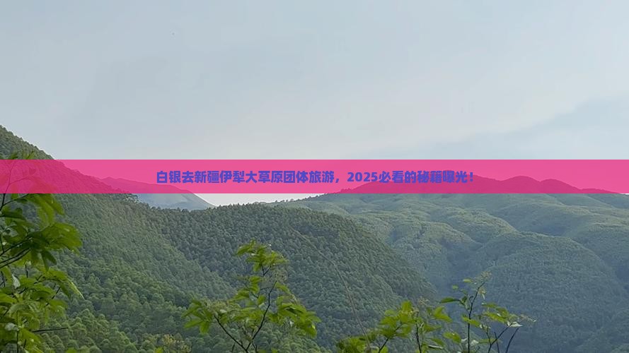 白银去新疆伊犁大草原团体旅游