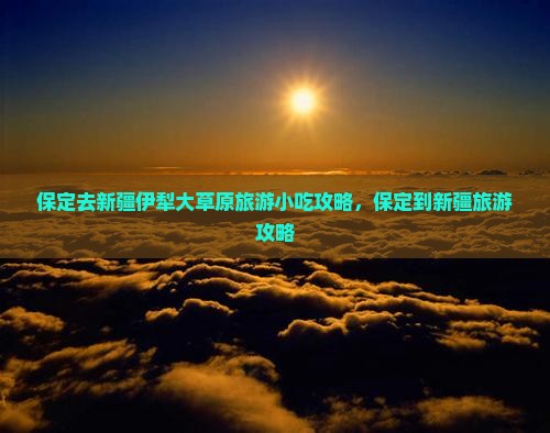 保定去新疆伊犁大草原旅游小吃