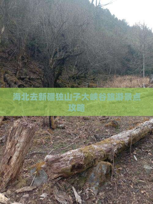海北去新疆独山子大峡谷哪里玩